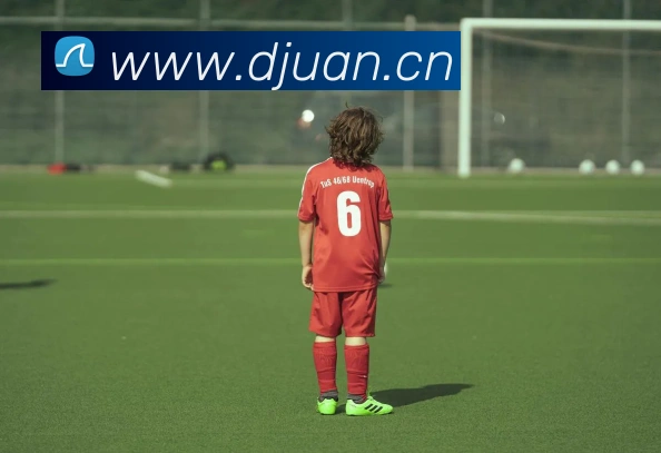 爱游戏ayx新官网发展历程